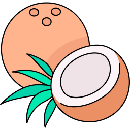 Coconut icon