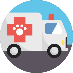 Ambulance icon