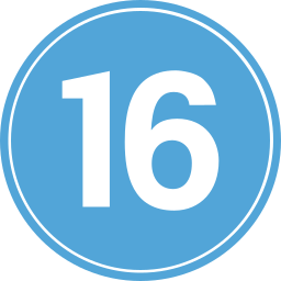 16 icon