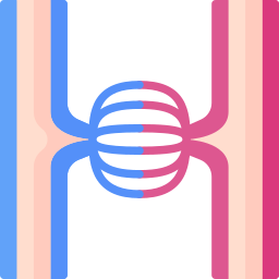 Veins icon