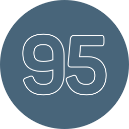 95 Ícone