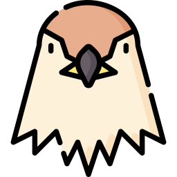 Falcon icon