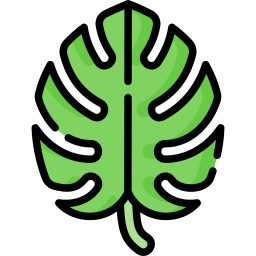 Leaf icon