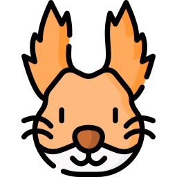 eichhörnchen icon