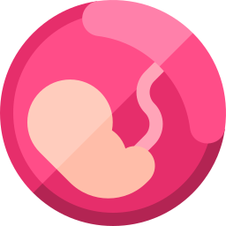 Placenta icon