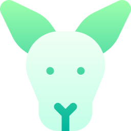 Kangaroo icon