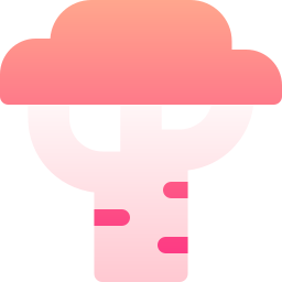 Baobab icon