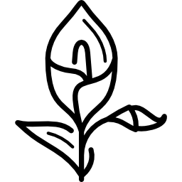 Calla Lily icon