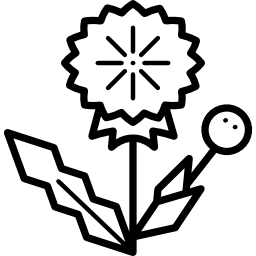 Dandelion icon