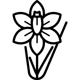 Daffodil icon