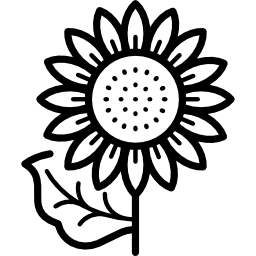 Sunflower icon