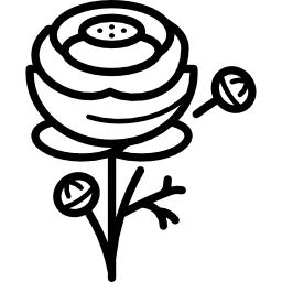 Ranunculus icon