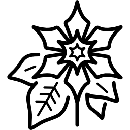 Poinsettia icon