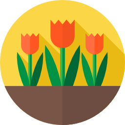 tulpen icon