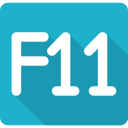 f11 icon