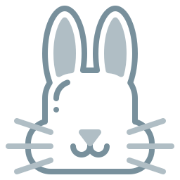 lapin Icône