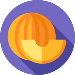 Melon icon