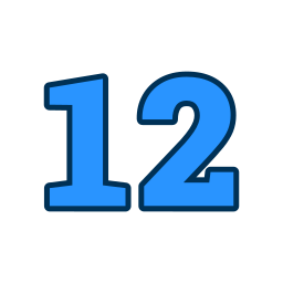 12 icon