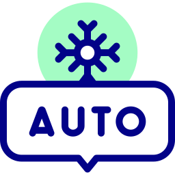 auto Icône