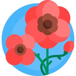 mohn icon