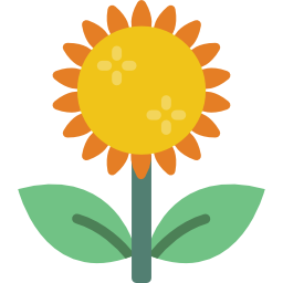 Sunflower icon