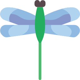 Dragon fly icon