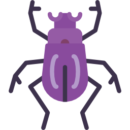 Beetle icon