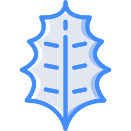 Leaf icon