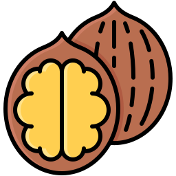 Walnut icon