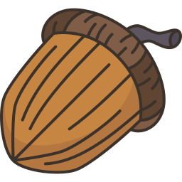 Acorn icon