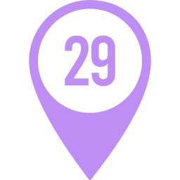 29 icon