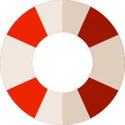 Lifebuoy icon