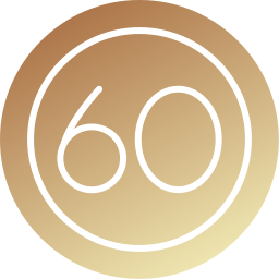 60 icon