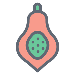 Papaya icon