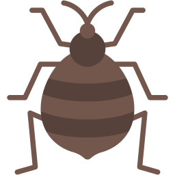 Bedbug icon