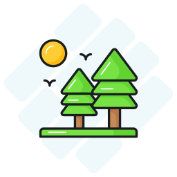 Pine tree icon