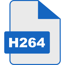 H264 icon