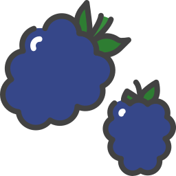 Berry icon