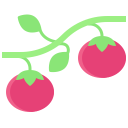 Tomato icon