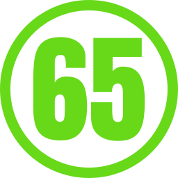 65 Ícone