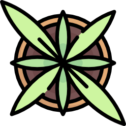 pflanze icon