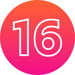 16 icon