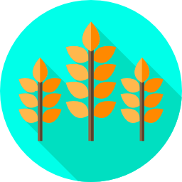 Wheat icon