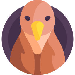 rufous hornero icon