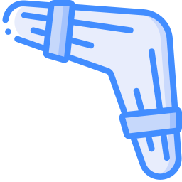 Boomerang icon