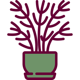 salonpalme icon