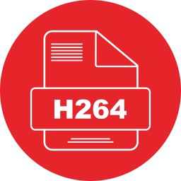 H264 icon