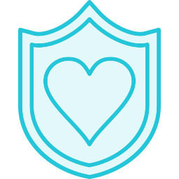 Shield icon