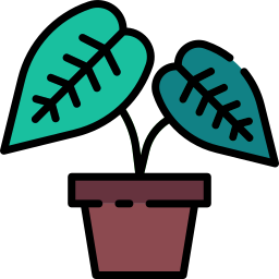 Philodendron icon