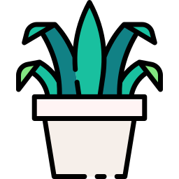 Spider plant icon